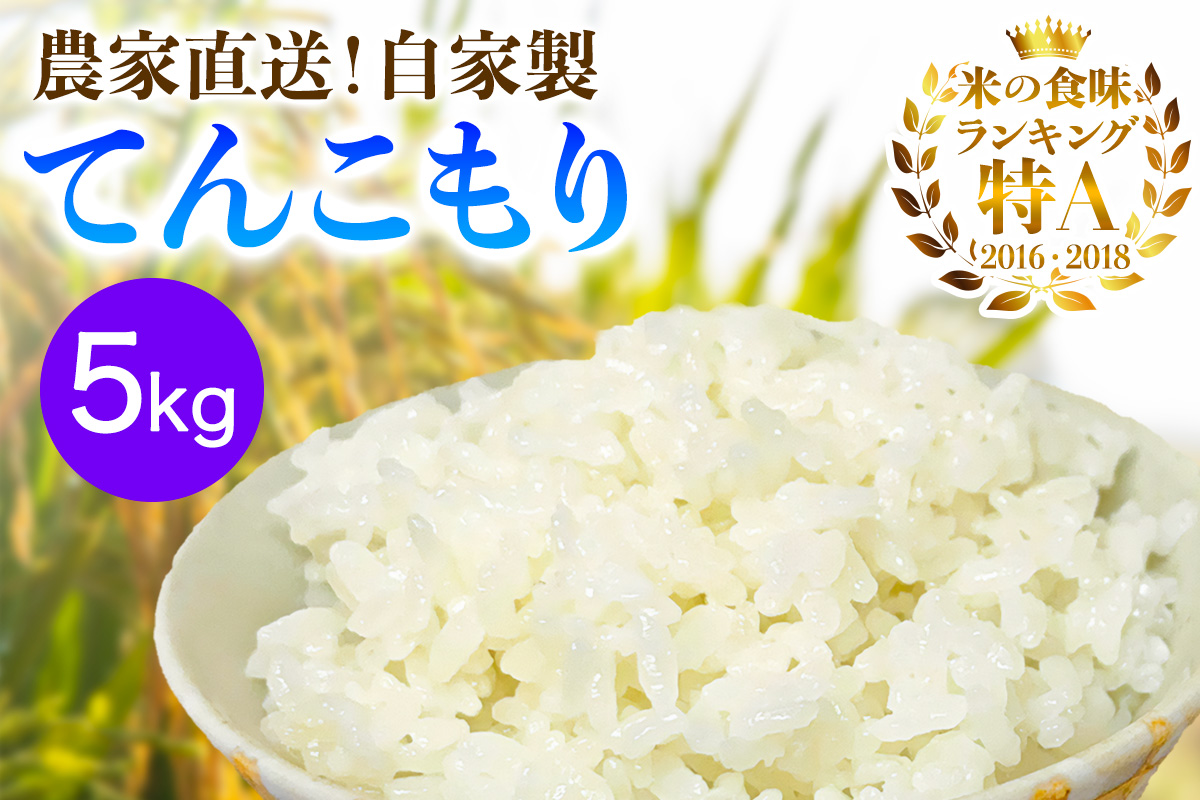 新米 [令和7年産] 伊勢原産 精米5kg てんこもり 農家直送！加藤さんちのうんめぇ！自家製米｜先行予約 お米 おこめ コメ 白米 神奈川 伊勢原 [0526]