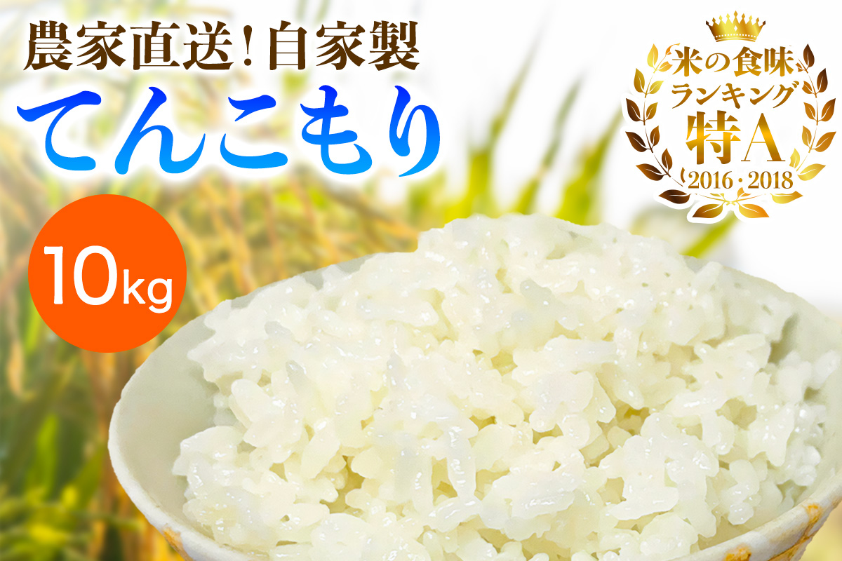 [令和7年産] 伊勢原産 精米10kg(5kg×2袋) てんこもり 農家直送！加藤さんちのうんめぇ！自家製米｜お米 おこめ コメ 白米 神奈川 伊勢原 [0527]