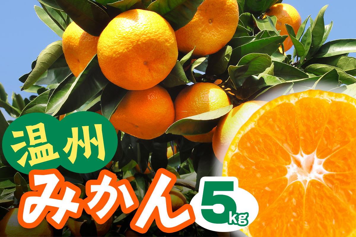 [2025年12月下旬頃から発送] 温州みかん 5kg｜先行予約 みかん フルーツ 果物 柑橘 [0535]