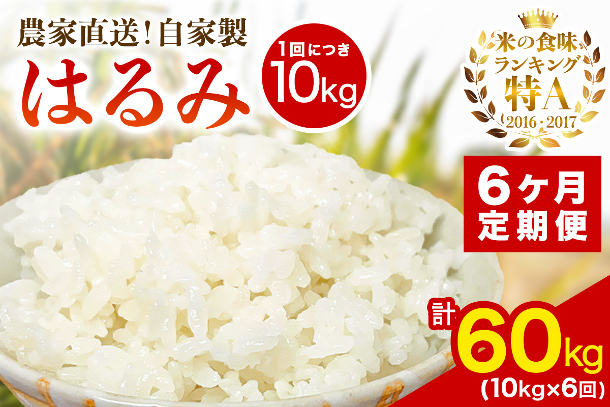 [定期便／6ヶ月連続 ] 新米 [令和7年産] 伊勢原産 精米10kg(5kg×2袋) はるみ 農家直送！加藤さんちのうんめぇ！自家製米｜ お米 おこめ コメ 白米 神奈川 伊勢原 ブランド米 [0742]