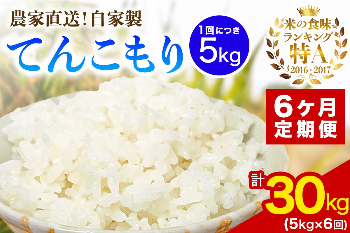[定期便／6ヶ月連続 ][令和7年産] 伊勢原産 精米5kg てんこもり 農家直送！加藤さんちのうんめぇ！自家製米｜ お米 おこめ コメ 白米 神奈川 伊勢原 [0745]