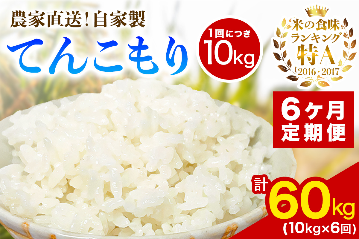 [定期便／6ヶ月連続 ] 新米 [令和7年産] 伊勢原産 精米10kg(5kg×2袋) てんこもり 農家直送！加藤さんちのうんめぇ！自家製米｜ お米 おこめ コメ 白米 神奈川 伊勢原 [0747]