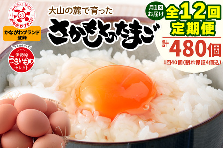 [定期便／12ヶ月] 月1回 さかもとのたまご 40個 (36個＋割れ保証4個) 合計480個｜坂本養鶏 大山の麓で育ったさかもとのたまご 赤玉卵 玉子 鶏卵 伊勢原市 赤玉卵 玉子 生卵 国産 TKG タマゴ 新鮮 大山 鶏 ギフト 安心 安全 親子丼 卵焼き 目玉焼き お菓子 [0748]