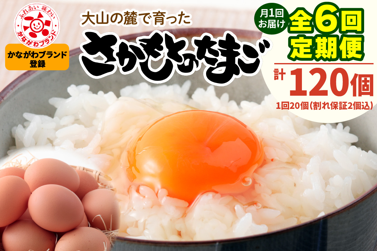 [定期便／6ヶ月×月1回]《2026年4月中旬より順次発送》さかもとのたまご 20個 (18個＋割れ保証2個) 合計120個｜坂本養鶏 大山の麓で育ったさかもとのたまご 赤玉卵 玉子 鶏卵 伊勢原市 赤玉卵 玉子 生卵 国産 TKG タマゴ 新鮮 大山 鶏 ギフト 安心 安全 親子丼 卵焼き 目玉焼き お菓子 [0804]