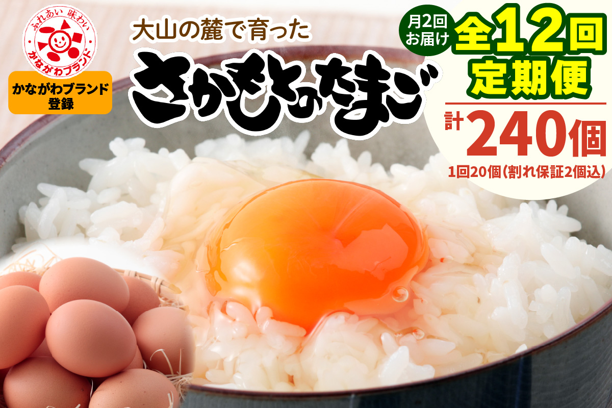 [定期便／6ヶ月] 月2回 全12回 さかもとのたまご 20個 (18個＋割れ保証2個) 合計240個｜坂本養鶏 大山の麓で育ったさかもとのたまご 赤玉卵 玉子 鶏卵 伊勢原市 赤玉卵 玉子 生卵 国産 TKG タマゴ 新鮮 大山 鶏 ギフト 安心 安全 親子丼 卵焼き 目玉焼き お菓子 [0754]