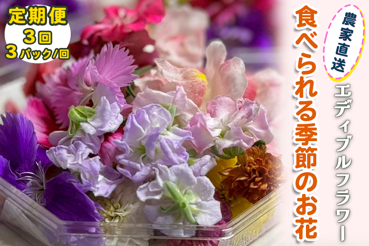 [定期便3回] 農家直送！加藤さんちのエディブルフラワー 3パック (1パックあたり季節のお花15輪から30輪)｜食用 花 お花 野菜 トッピング 付け合わせ [0769]