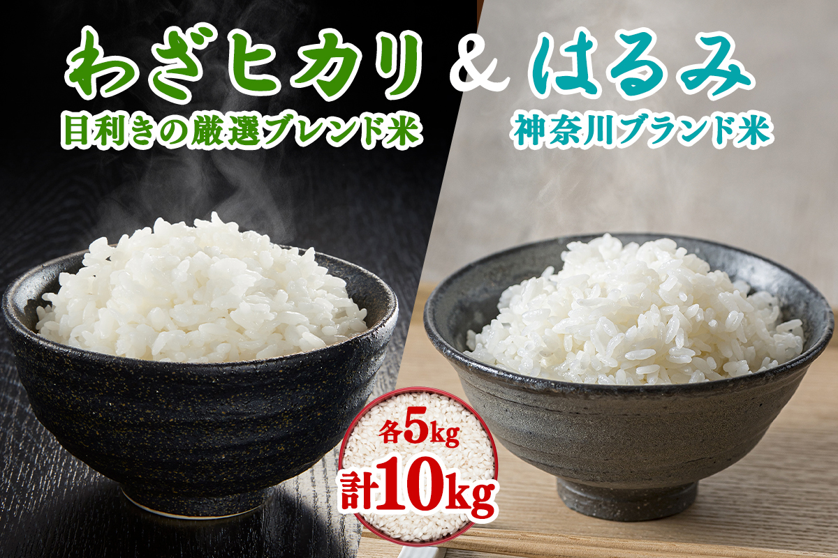令和7年産 目利きの厳選ブレンド米とはるみの食べ比べセット 各5kg (合計10kg) 五つ星お米マイスター親子プロデュース！｜米 お米 ブレンド米 白米 ご飯 精米 厳選 お米マイスター [0888]