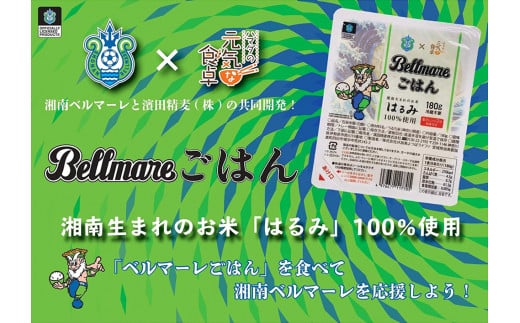 [ベルマーレごはん] Jリーグ湘南ベルマーレ公認！伊勢原市産【はるみ】ごはんパック12食×2箱｜米 パックごはん ギフト 贈りもの お手軽 保存食 ブランド米 [0135]