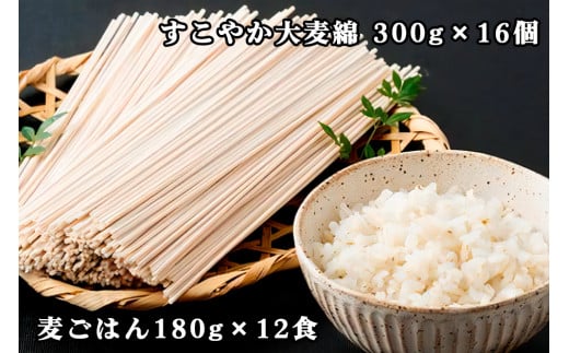 濱田の大麦セット 食物繊維たっぷり！美味しく食べて 健康増進｜大麦 麦ごはん 麺 無添加 セット ギフト 贈りもの 健康 食物繊維 [0137]