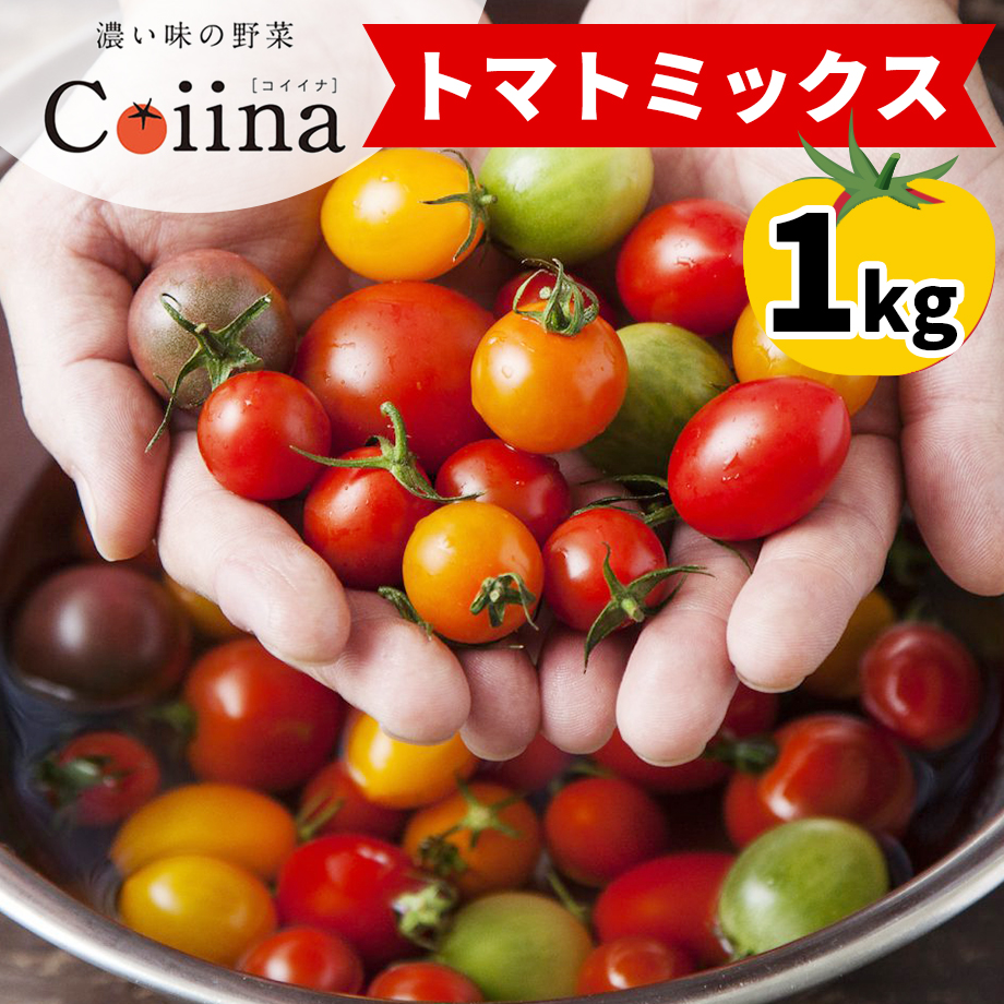 [2025年12月下旬より発送] Coiinaトマトミックス 厳選！詰め合わせセット 1kg｜コイイナ コイーナ 濃い味 ブランドトマト リコピン アイメック栽培 甘い 旨い 食感が良い [0670]