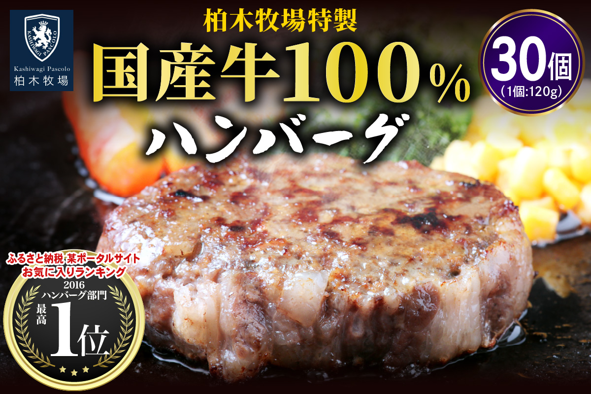 柏木牧場特製 国産牛100%ハンバーグ (120g×30個)｜国産 ハンバーグ 冷凍 グルメ ギフト お惣菜 惣菜 大容量 [0069]