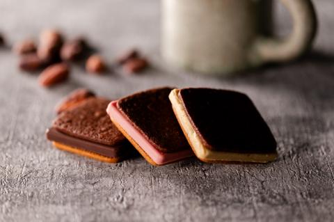 【ショコラトリーサンドグラス】ギフトアソート (ショコラサンド９個＋ガトーショコラ１個）