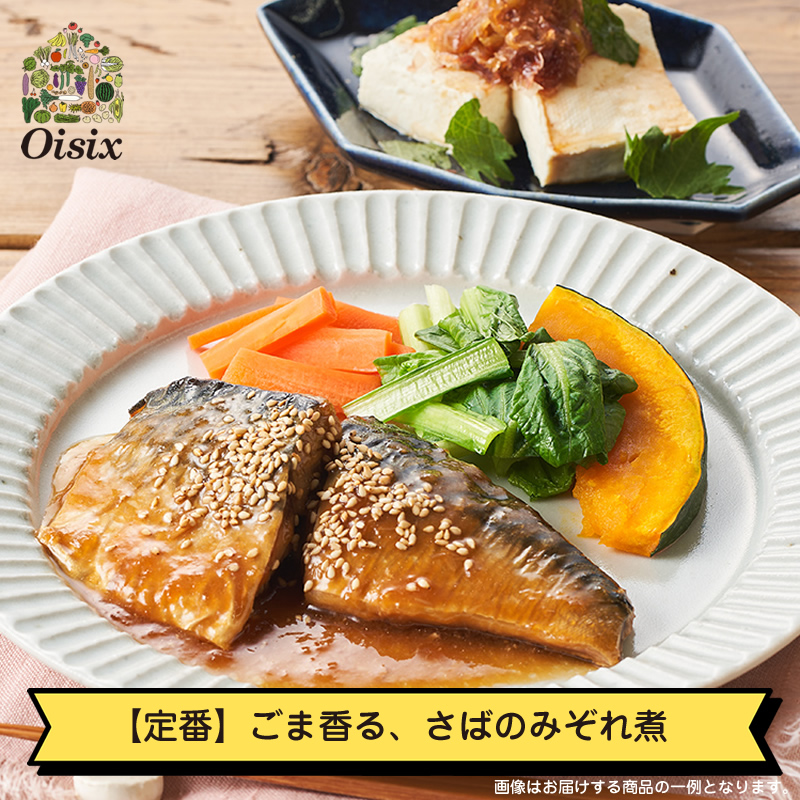 【Kit Oisix】定番2種セット（お任せセット）【 オイシックス 神奈川県 海老名市 】