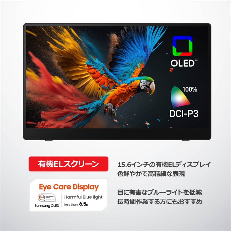 バッテリー内蔵15.6インチ有機ELポータブルタッチディスプレイ。ワイヤレス＆USB接続タイプ。RICOH Light Monitor 150BW＜出荷時期：2025年11月中旬以降、順次発送＞【 リコー モニター 神奈川県 海老名市 】