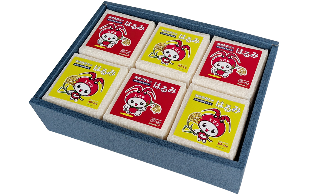 神奈川県海老名市産はるみ　真空300ｇ×6セット【 お米 神奈川県 海老名市 】