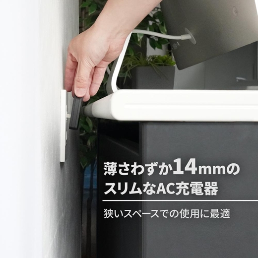 Owltech 薄さ14mm 最大PD65W出力 GaN採用 USB Type-C×2 AC充電器 OEC-APD65C2G-BK【 ガジェット 海老名市 】