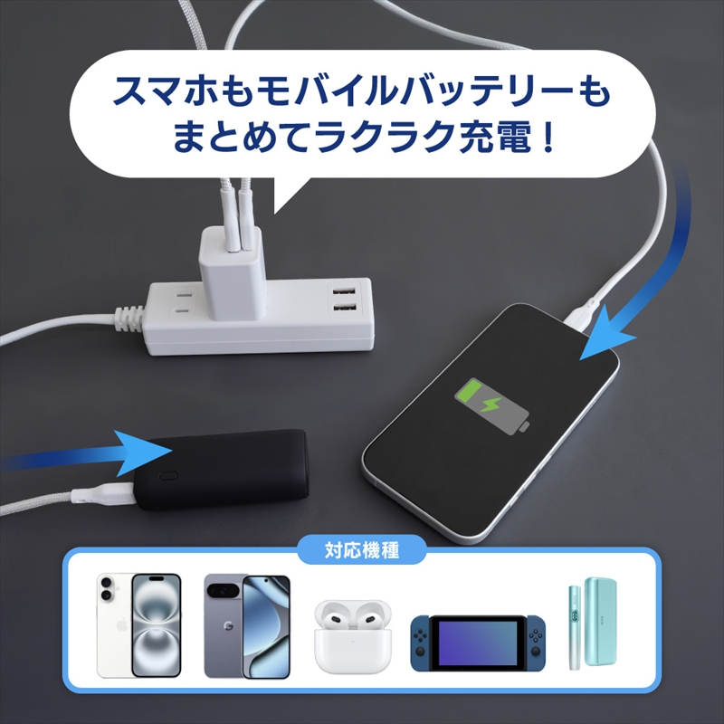 Owltech(オウルテック) 最大PD20W出力 GaN採用 USB Type-C×1 USB Type-A×1 AC充電器 OWL-APD20C1A1G-WH ホワイト【 神奈川県 海老名市 】