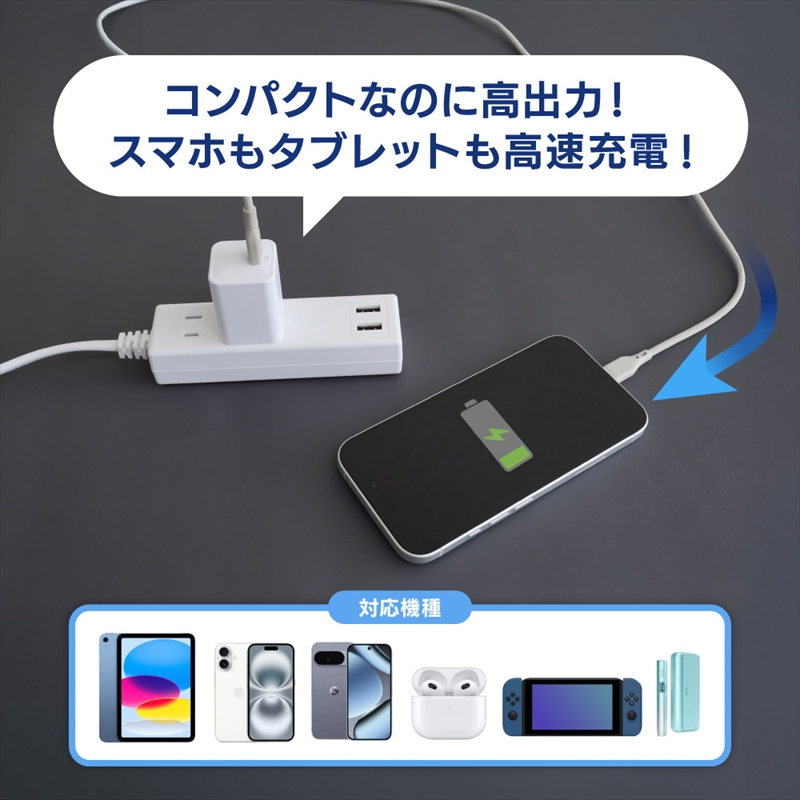 Owltech(オウルテック) 最大PD30W出力 GaN採用 USB Type-C×1 AC充電器 OWL-APD30C1GB-BK ブラック【 神奈川県 海老名市 】