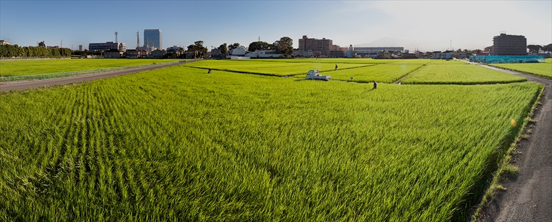 LinoLino美容液シャンプー 300mL&トリートメント 300gセット【 シャンプー トリートメント 神奈川県 海老名市 】
