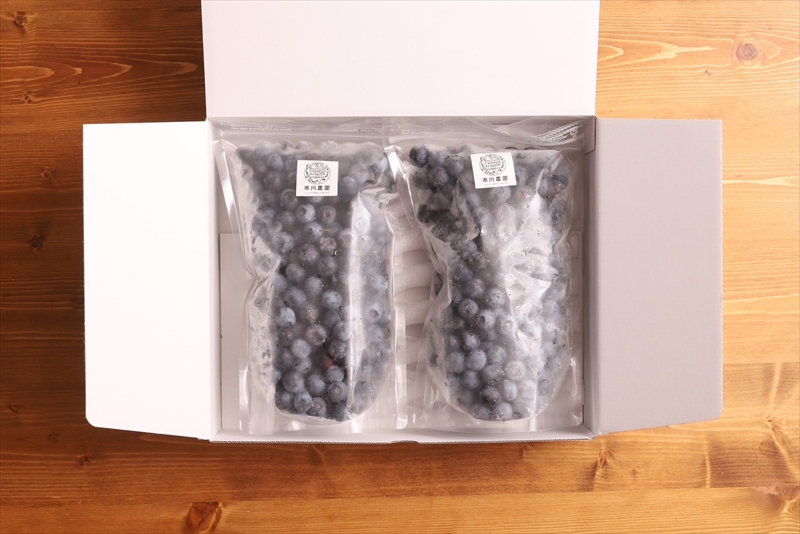 【先行予約】冷凍ブルーベリー1.2kg（600g×2パック）＜出荷開始：2026年8月10日～2026年9月10日＞【 ブルーベリー フルーツ 神奈川県 海老名市 】