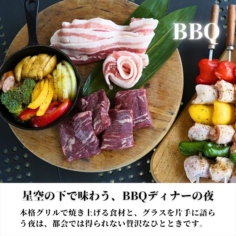 キャンピングカー宿泊とBBQ・温浴体験 in ウエインズパーク海老名（車中泊・BBQ・温浴付き）2名様【 チケット 神奈川県 海老名市 】