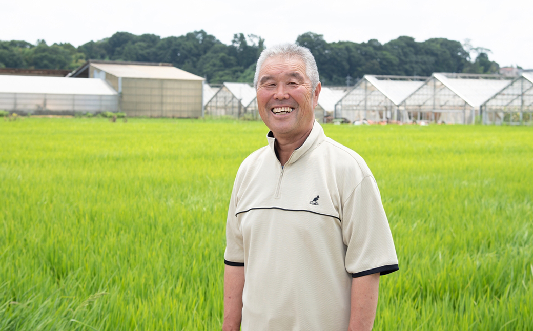 神奈川県海老名市産はるみ　真空300ｇ×6セット【 お米 神奈川県 海老名市 】