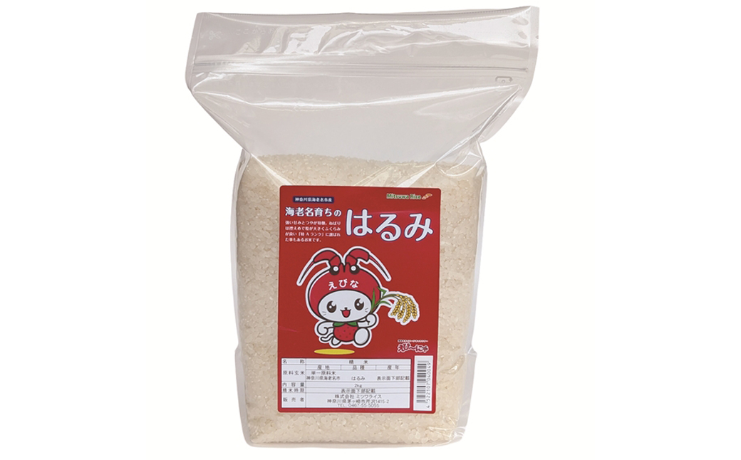 神奈川県海老名市産はるみ　2ｋｇ×5セット【 お米 神奈川県 海老名市 】