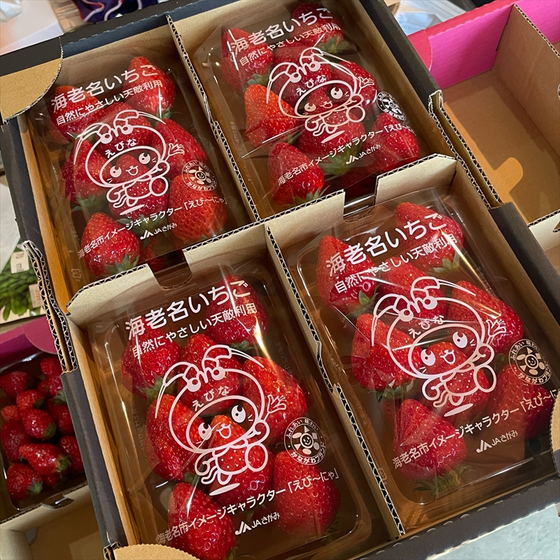 サスティナブル・クラフトビール　Strawberry Milkshake　6本 お酒 クラフトビール ギフト おうち時間 グランピング キャンプ プレゼント 地ビール 神奈川県 海老名市 送料無料