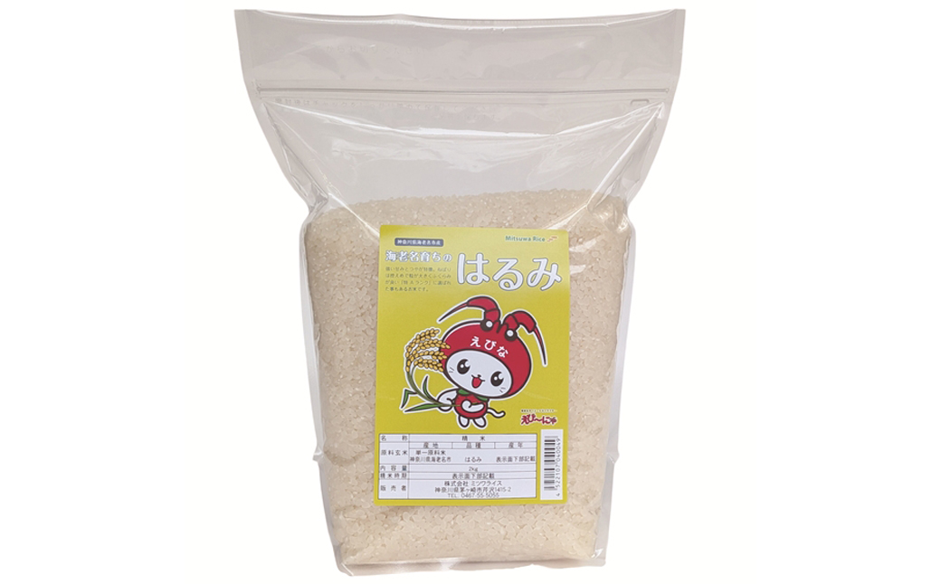 神奈川県海老名市産はるみ　2ｋｇ×5セット【 お米 神奈川県 海老名市 】