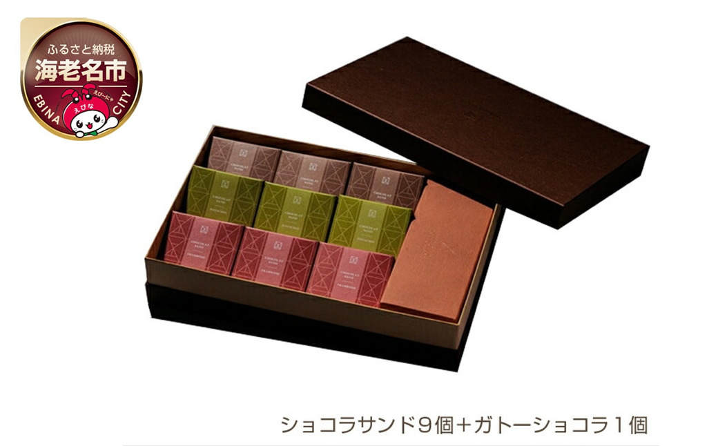 【ショコラトリーサンドグラス】ギフトアソート (ショコラサンド９個＋ガトーショコラ１個）