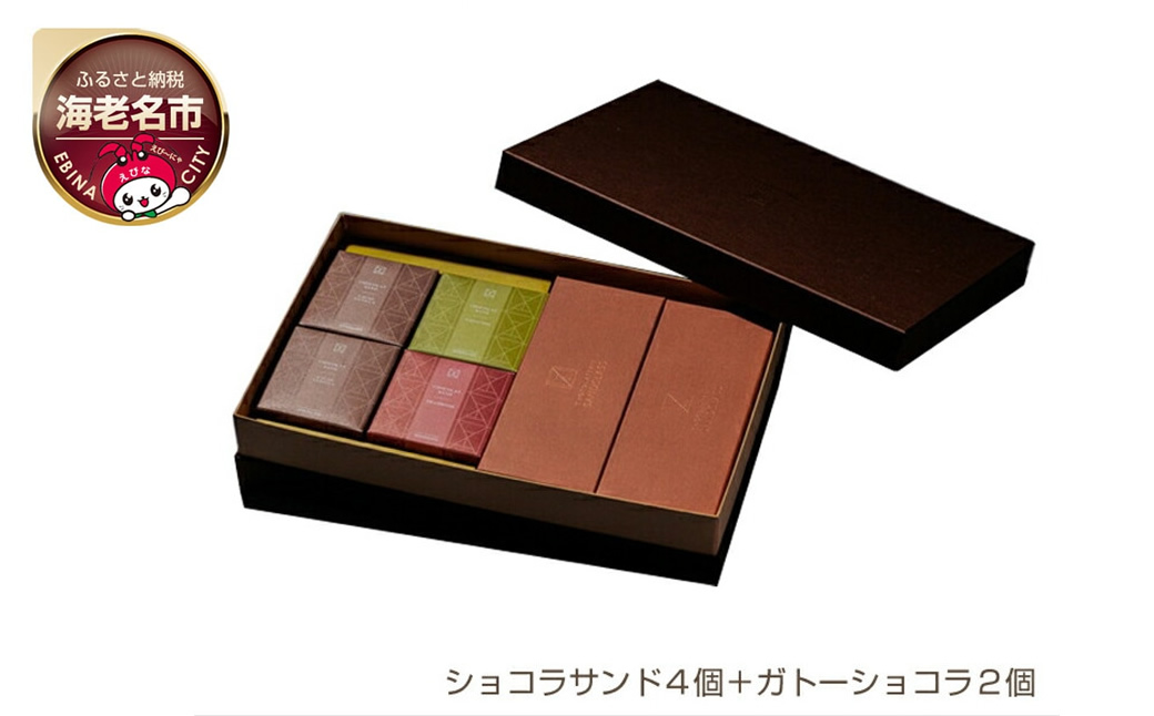 【ショコラトリーサンドグラス】ギフトアソート（ショコラサンド４個＋ガトーショコラ２個）