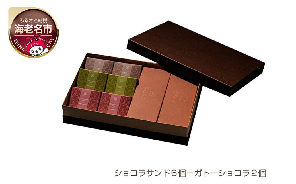 【ショコラトリーサンドグラス】ギフトアソート（ショコラサンド６個＋ガトーショコラ２個）