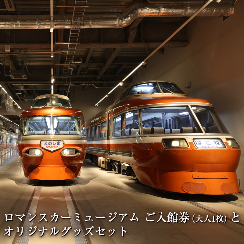 ロマンスカーミュージアム ご入館券（大人1枚）とオリジナルグッズセット【 チケット 体験 鉄道ミュージアム 神奈川県 海老名市 】:  海老名市ANAのふるさと納税