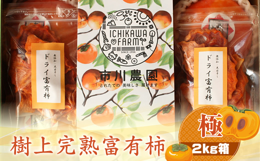 【先行予約】樹上甘熟富有柿 【極】2kg箱　〈出荷時期：2026年11月15日～2026年12月10日出荷終了〉【 柿 かき フルーツ 神奈川県 海老名市 】