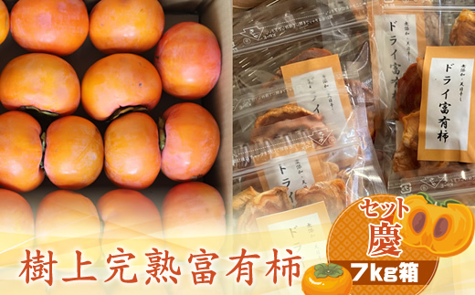 【先行予約】樹上甘熟富有柿 【セット慶】7kg箱　〈出荷時期：2026年11月15日～2026年12月10日出荷終了〉【 柿 かき フルーツ 神奈川県 海老名市 】