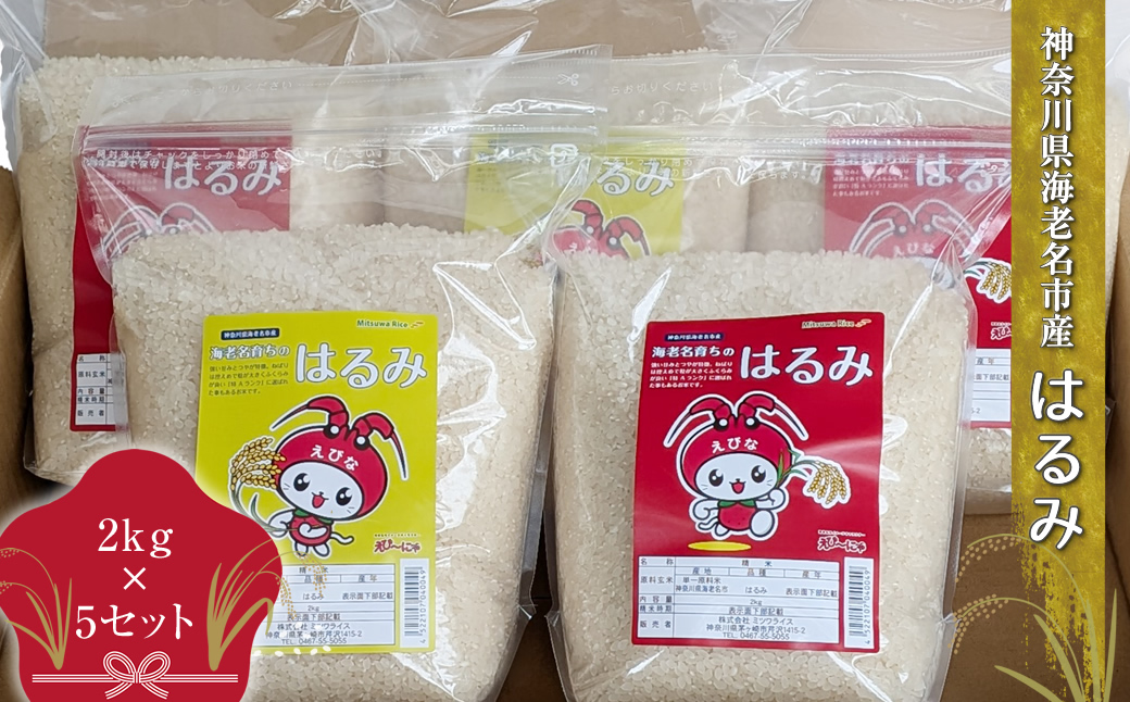 神奈川県海老名市産はるみ　2ｋｇ×5セット【 お米 神奈川県 海老名市 】