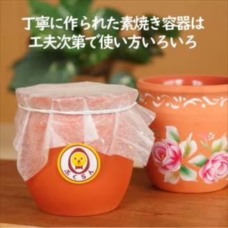 テラコッタプリン〔6個〕 国産の素焼き容器を使い、じっくりと仕上げた手作りプリン 【 プリン スイーツ お菓子 神奈川県 南足柄市 】