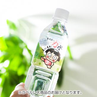 おためしAセット 南足柄 金太郎の力水 ラベルレス 500ml×48本（24本入×2箱）