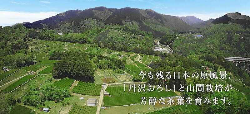 足柄茶一番ほうじかおりリーフ3袋セット【 足柄茶 神奈川県 南足柄市 】