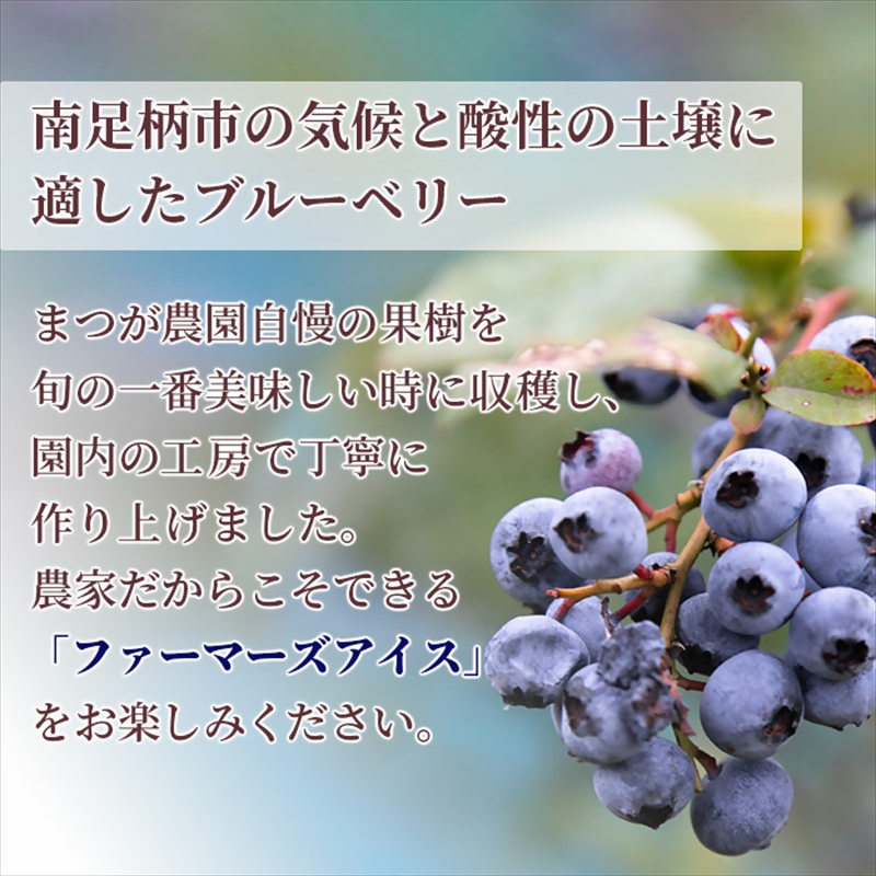 まつが農園アイスクリームギフト12個入り