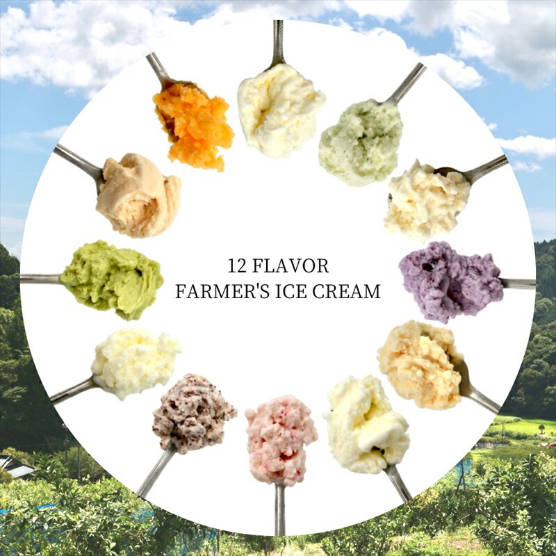 【定期便：3ヶ月連続】 自社農園で栽培した果物でつくった旬なアイスを毎月お届け（味はお任せ：12個×3ヶ月：36個）【 果物 フルーツ 旬 食品添加物不使用 カップアイス シャーベット フルーツアイス ギフト プレゼント 詰め合わせ 神奈川県 南足柄市 】