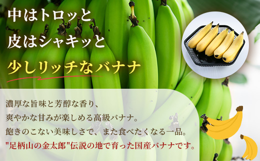 南足柄産国産バナナ スタンダード（栽培期間中農薬不使用）5本セット