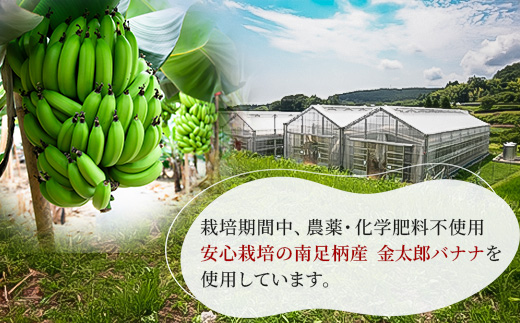 定期便：金太郎バナナアイス（24個）：8個×3回（毎月お届け） 毎栽培期間中農薬不使用 【国産 ギフト プレゼント 贈り物 お返し おいしい 果物 くだもの フルーツ お歳暮 お中元 】