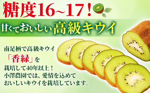 希少キウイフルーツ 「香緑」。6Lサイズ 20個入り 糖度16度。甘くておいしい＜出荷時期：2025年12月15日出荷開始～2026年1月15日出荷終了＞【キウイ　ルーツ 神奈川県 南足柄市 】