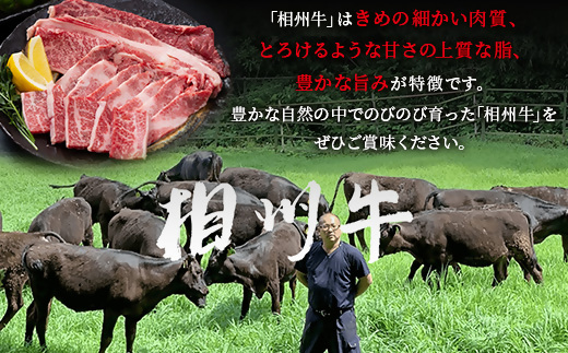 【国産希少牛】 相州牛（すき焼き用） 1.0kg 南足柄ブランド 国産牛 肉 1キロ【すき焼き 牛肉 お肉 ブランド牛 ギフト プレゼント 贈り物 お返し 贈答 贈答品 贈答用 神奈川県 南足柄市 】