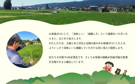 令和7年 新米 南足柄産のブランド米「はるみ(精米)」 5kg×4袋 計20kg＜出荷時期：2025年10月末頃より順次出荷予定＞【 新米 新米予約 7年産 お米 神奈川県 南足柄市 】