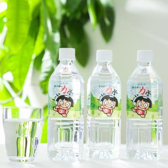 おためしAセット 南足柄 金太郎の力水 ラベルレス 500ml×48本（24本入×2箱）