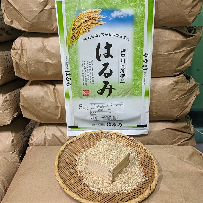 【令和7年産】湘南生まれ 南足柄育ちのお米「はるみ」(精米)10kg(5kg×2袋)【 神奈川県 南足柄市 】