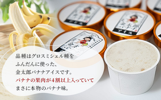 定期便：金太郎バナナアイス（48個）：16個×3回（毎月お届け） 栽培期間中農薬不使用 【国産 ギフト プレゼント 贈り物 お返し おいしい 果物 くだもの フルーツ お歳暮 お中元 】