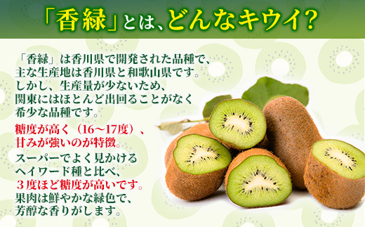 希少キウイフルーツ 「香緑」。6Lサイズ 20個入り 糖度16度。甘くておいしい＜出荷時期：2025年12月15日出荷開始～2026年1月15日出荷終了＞【キウイ　ルーツ 神奈川県 南足柄市 】